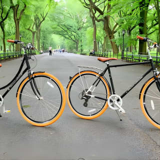 Best of Central Park Bike Tour