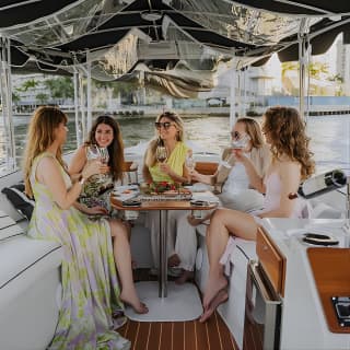 Luxury Shared Miami River E-Boat Cruise & Wine and Charcuterie