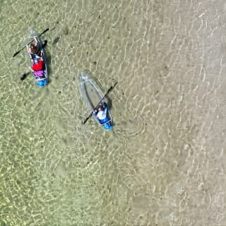 Clear Kayak Ecotour at Robinson Preserve in Bradenton, Florida 