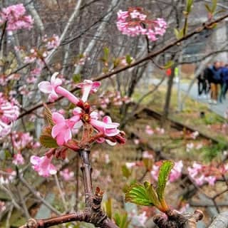 Secrets of the High Line