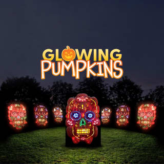 Glowing Pumpkins: A Phoenix Jack-o-Lantern Adventure