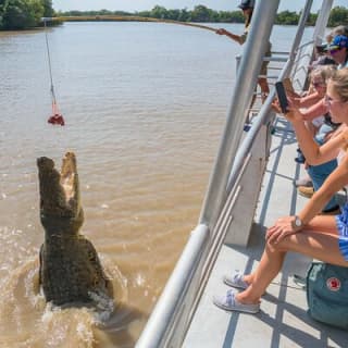 1 Hour Jumping Crocodile Cruise on the Adelaide River
