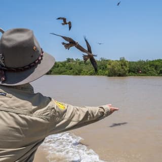 1 Hour Jumping Crocodile Cruise on the Adelaide River