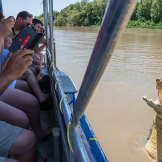 1 Hour Jumping Crocodile Cruise on the Adelaide River