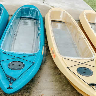 Silver Springs Glass Bottom Kayak Tour!