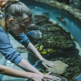 Cairns Aquarium: Entry Ticket