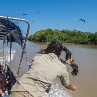 1 Hour Jumping Crocodile Cruise on the Adelaide River