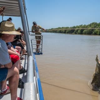 1 Hour Jumping Crocodile Cruise on the Adelaide River