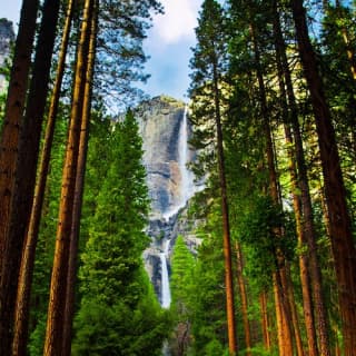 Yosemite: 1-Day Experience Including Entrance and Guided Tour