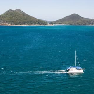 Dolphin Watch + Sailing - Port Stephens