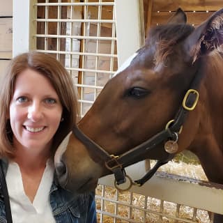 Unique Horse Farm Tours with Insider Access to Private Farms