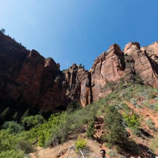 Valley of Fire and Zion Park 1 Day Tour