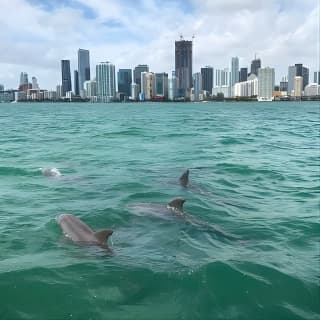 Semi-Private Zodiac RIB Boat Tour w.Exclusive Stiltsville Access