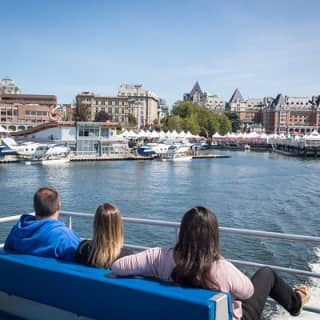 Half-Day Whale Watching Adventure from Victoria