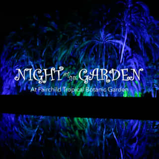 Fairchild's Night at the Garden