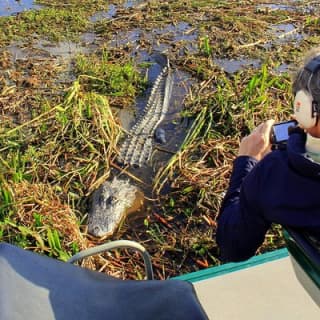 Florida Everglades Airboat Tour and Wild Florida Admission with Optional Lunch