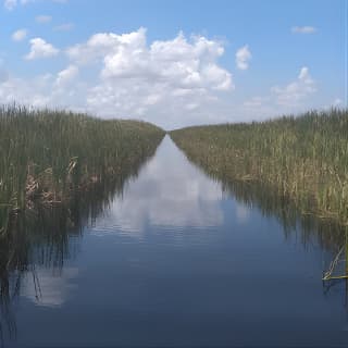 Air Boat Tour of Palm Beach in The Swamp Monster