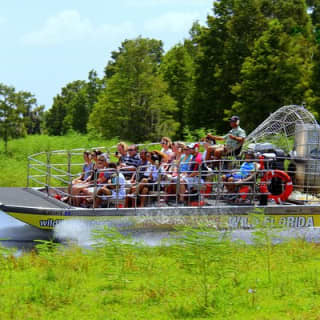 Florida Everglades Airboat Tour and Wild Florida Admission with Optional Lunch