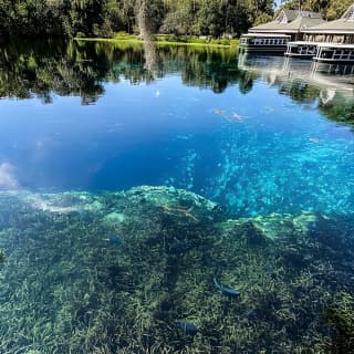 Silver Springs Glass Bottom Kayak Tour!