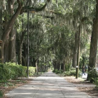 A Walk Through The Book Midnight in the Garden of Good and Evil