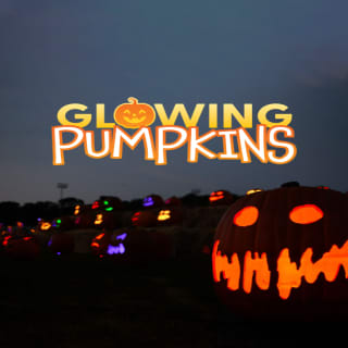 Glowing Pumpkins: A Phoenix Jack-o-Lantern Adventure