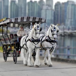 Stanley Park Horse-Drawn Guided Tour