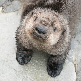 Vancouver Aquarium