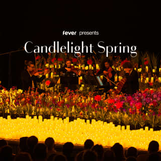 Candlelight Spring : Hommage à Queen et d'autres