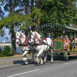 Stanley Park Horse-Drawn Guided Tour