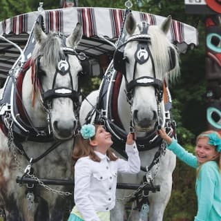 Stanley Park Horse-Drawn Guided Tour