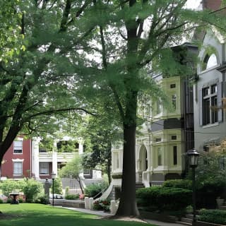 Historic Old Louisville Walking Tour