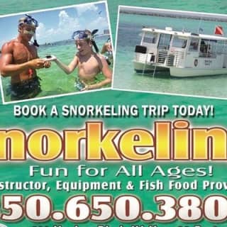 Snorkeling, Shelling & Eco Excursion