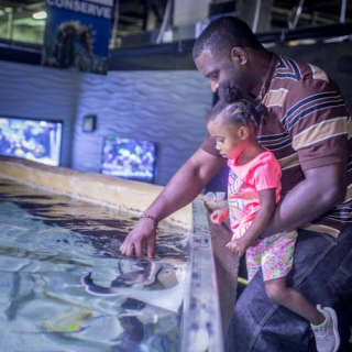 San Antonio Aquarium