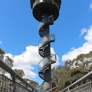 Illawarra Fly Treetop Walk