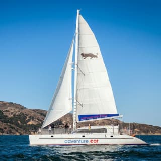 Catamaran Cruise on San Francisco Bay