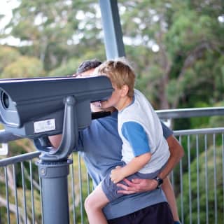 Illawarra Fly Treetop Walk