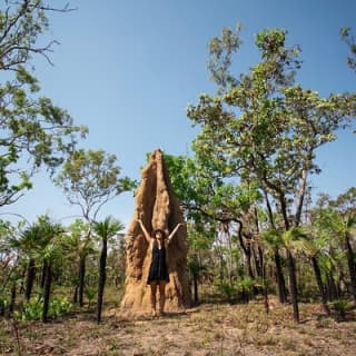 Litchfield National Park & Fogg Dam or Crocodile Cruise - Day Trip from Darwin