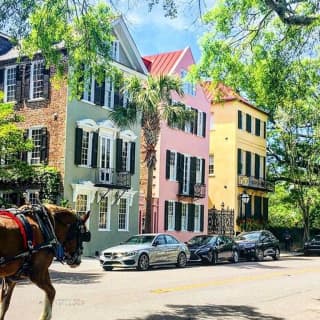 Private Historic Carriage Tour of Charleston