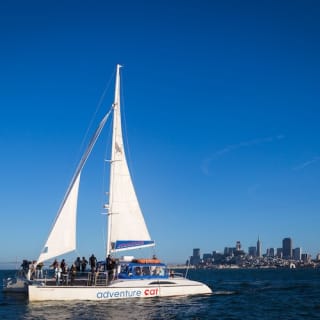 Catamaran Cruise on San Francisco Bay