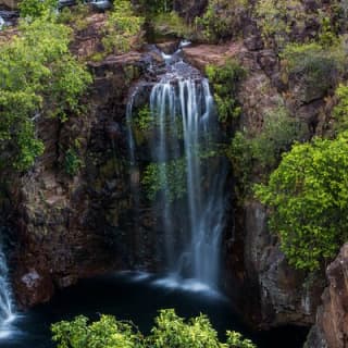 Litchfield National Park & Fogg Dam or Crocodile Cruise - Day Trip from Darwin