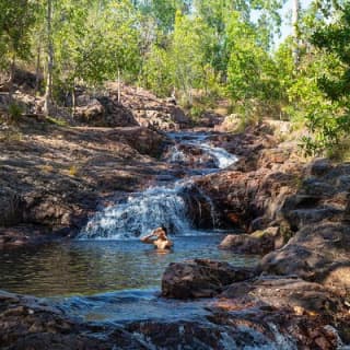 Litchfield National Park & Fogg Dam or Crocodile Cruise - Day Trip from Darwin