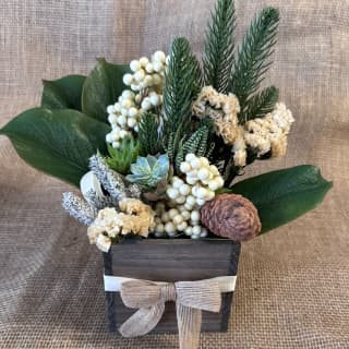 Seasonal Succulent Centerpiece Making Workshop