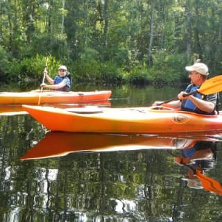 Lofton Creek Kayaking Trip with Professional Guide