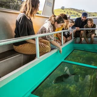 Glass Bottom Boat Tour