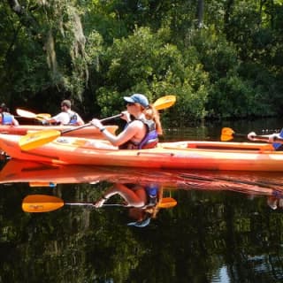 Lofton Creek Kayaking Trip with Professional Guide