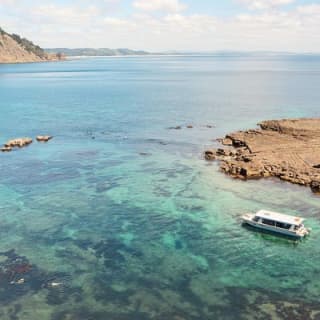 Glass Bottom Boat Tour