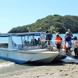 Glass Bottom Boat Tour