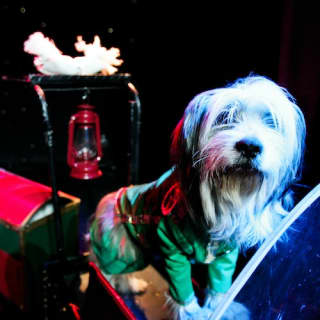 V Theater Las Vegas: Popovich Comedy Pet Theater