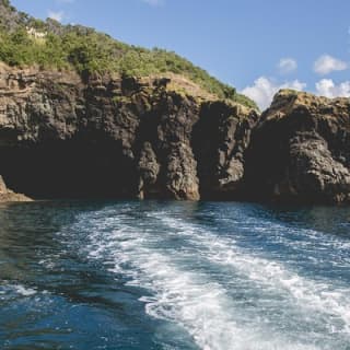 Glass Bottom Boat Tour