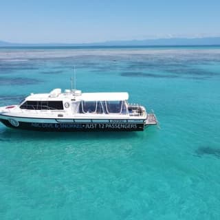 ABC Snorkel Charters Port Douglas Snorkelling max 12 passengers